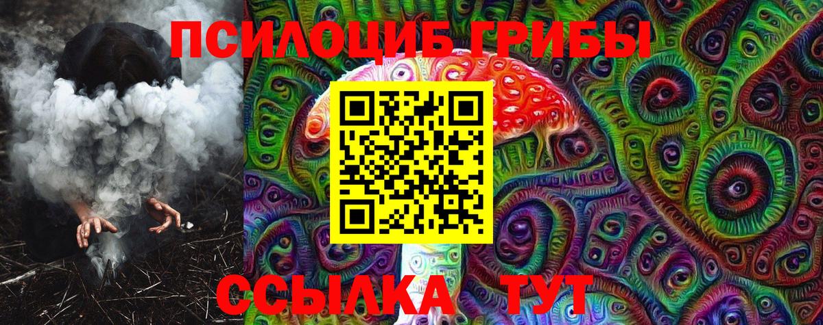 Псилоцибиновые грибы Magic Shrooms  Кашира  Галлюциногенные грибы Psilocybe 